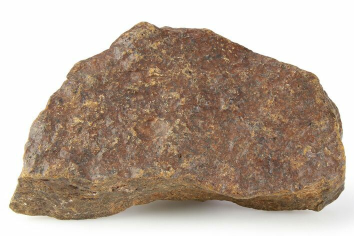 Chondrite Meteorite ( g) - Western Sahara Desert #256569